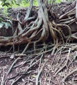 Newsletter 1 – 2021/2022